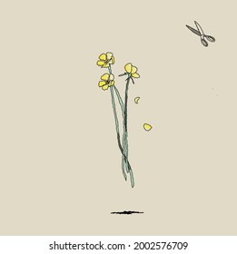 yellow meadow flowers. bouquet of buttercups.