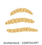 Yellow mealworms vector illustration isolated on white. Edible insects.