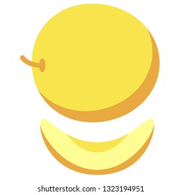 yellow melon flat simple illustration. Kitchen cooking - vegetables and fruits series.