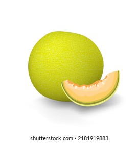 Yellow melon. Green honeydew cantaloupe fruit. Galia sweet melon slice cut. Vector graphic illustration. Isolated on white background stock image fresh summer fruit vitamin