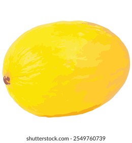 Yellow Melon Vector Illustration For Print