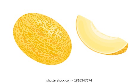 Yellow melon whole and slice isolated on white background. Vector illustration of ripe fruit in cartoon flat style.