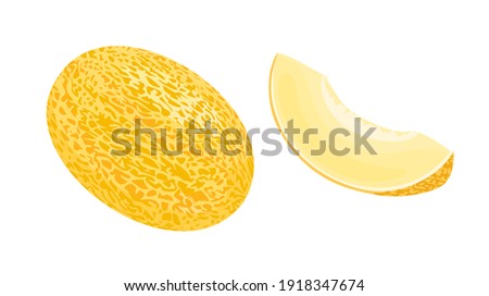 Yellow melon whole and slice isolated on white background. Vector illustration of ripe fruit in cartoon flat style.
