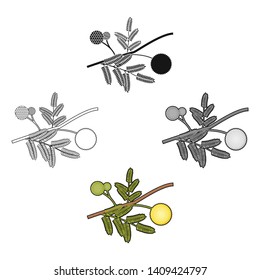 Yellow mimosa flower icon in cartoon,black style isolated on white background. Australia symbol stock vector illustration.