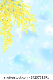 Yellow mimosa flowers against the blue sky in spring