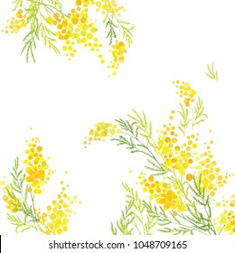 Yellow mimosa, flowers of yellow spots, splashes. Spring wreath of the brightest yellow flowers. Hello Spring