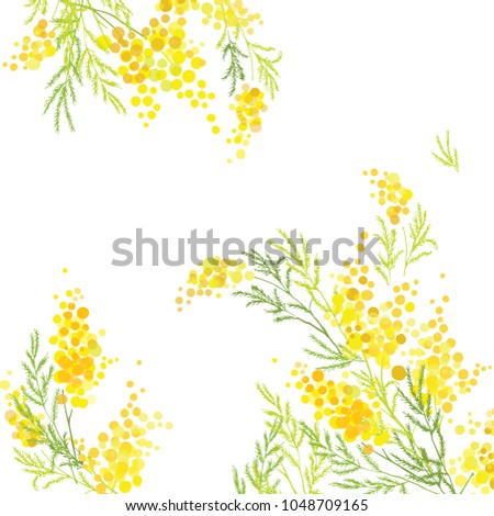 Yellow mimosa, flowers of yellow spots, splashes. Spring wreath of the brightest yellow flowers. Hello Spring