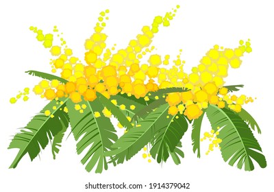 イラスト ミモザ High Res Stock Images Shutterstock