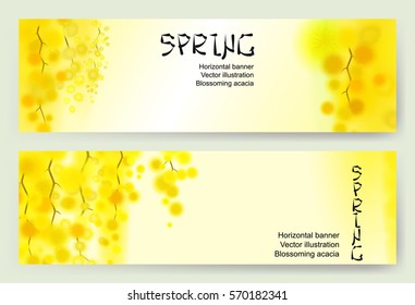 Yellow mimosa spring flowers vertical garland Horizontal banner Suitable for greeting cards to the birthday Valentine's Day March 8 Women's Day  wedding invitations Spring background discounts sales.
