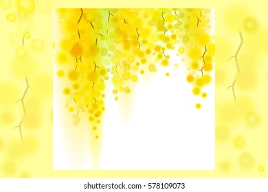 Yellow mimosa spring flowers vertical garland on white background.