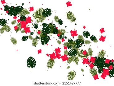 Yellow Monstera Background White Vector. Leaves Decoration Texture. Red Plant. Print Pattern. Pink Ornament Design.