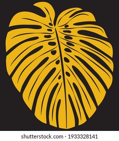 Yellow monstera leaf on a black background. Tropical plant, exotic.