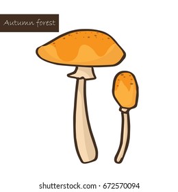 yellow mushroom in autumn forest vector.