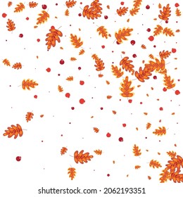 Yellow Oak Background White Vector. Acorn September Texture. Green Leaves. Image Design. Orange Leaf October.