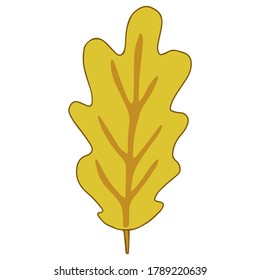 yellow oak leaf in autumn