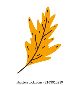 Yellow oak leaf vector icon. Hand drawn veined autumn leaf on a stem. Flat cartoon clipart isolated on white background. Fall botanical illustration, withering leaf of a garden tree