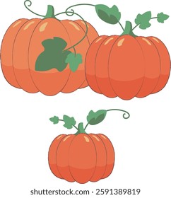 Yellow old pumpkin illustration with simple and flat leaves