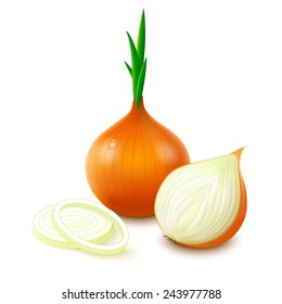 Yellow onion with fresh green sprout, half and rings isolated on white background. Vector illustration.