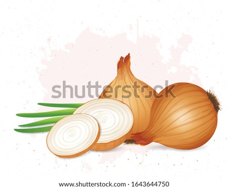yellow onion with green leaves vector illustration 