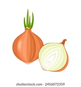 Cebolla amarilla con brotes verdes. Vegetales enteros y la mitad. Ilustración plana de dibujos animados de Vector. Icono de comida.