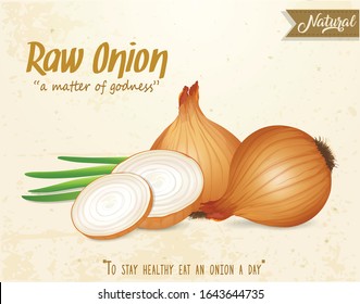Yellow Onion With Half Piece Of Onions Vector Illustration