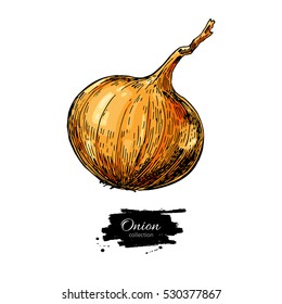 Yellow Onion hand drawn vector illustration. Vegetable Isolated object. Detailed vegetarian food drawing. Farm market product.Great for menu, label, icon