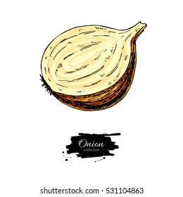 Yellow Onion hand drawn vector illustration. Vegetable Isolated object. Half cutout slice. Detailed vegetarian food drawing. Farm market product.Great for menu, label, icon