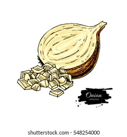 Yellow Onion hand drawn vector illustration. Isolated artistic style object. Half and cutout slice. Detailed vegetarian food drawing. Farm market product. Great for menu, label, icon