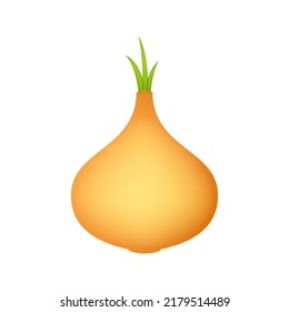 Yellow Onion isolated on white background