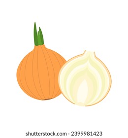 yellow onion isolated on white background, whole root onion and half in flat style