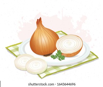 Yellow onion with round pieces of onions vector illustration