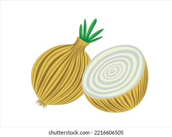 yellow onion,dry onion,sliced onion,two onions,organic onions