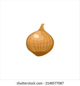 Yellow onion.Vector illustrations isolated on white background.