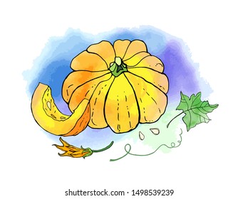 Yellow orange autumn pumpkin. Fall harvest. Cute cartoons with watercolor texture. Halloween, thanksgiving. Food background. Hand drawn design elements. For postcards, greetings, cards, logo. 