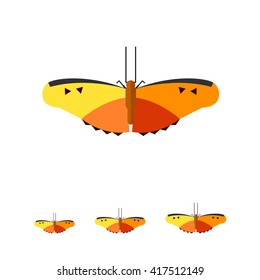 Yellow and orange butterfly icon