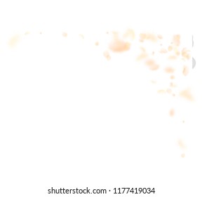 Yellow orange flower petals falling down. Favorable romantic flowers corner. Flying petal on white square background. Love, romance concept. Adorable wedding invitation.