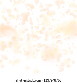 Yellow orange flower petals falling down. Overwhelming romantic flowers gradient. Flying petal on white square background. Love, romance concept. Bold wedding invitation.