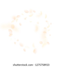 Yellow orange flower petals falling down. Wonderful romantic flowers frame. Flying petal on white square background. Love, romance concept. Bewitching wedding invitation.