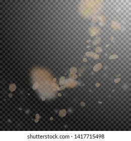 Yellow orange flower petals falling down. Original romantic flowers corner. Flying petal on transparent square background. Love, romance concept. Adorable wedding invitation.
