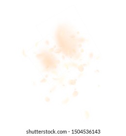 Yellow orange flower petals falling down. Cool romantic flowers explosion. Flying petal on white square background. Love, romance concept. Astonishing wedding invitation.