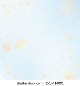 Yellow orange flower petals falling down. Stylish romantic flowers vignette. Flying petal on blue sky square background. Love, romance concept. Dazzling wedding invitation.