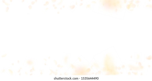 Yellow orange flower petals falling down. Charming romantic flowers border. Flying petal on white wide background. Love, romance concept.  wedding invitation.