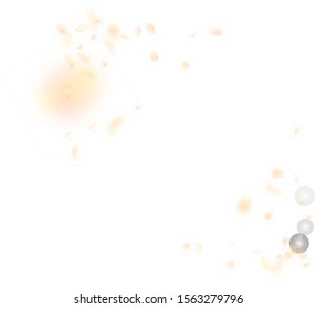 Yellow orange flower petals falling down. Pleasing romantic flowers corner. Flying petal on white square background. Love, romance concept. Alluring wedding invitation.