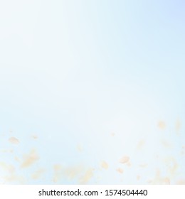Yellow orange flower petals falling down. Appealing romantic flowers gradient. Flying petal on blue sky square background. Love, romance concept. Classy wedding invitation.