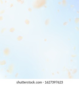 Yellow orange flower petals falling down. Bewitching romantic flowers vignette. Flying petal on blue sky square background. Love, romance concept. Cute wedding invitation.