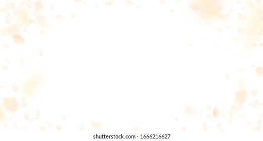 Yellow orange flower petals falling down. Valuable romantic flowers vignette. Flying petal on white wide background. Love, romance concept. Dramatic wedding invitation.