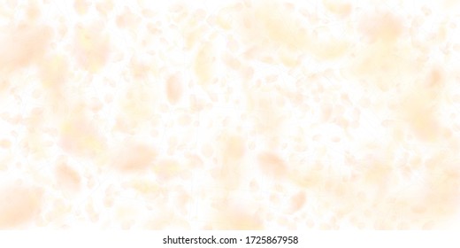 Yellow orange flower petals falling down. Dazzling romantic flowers pattern. Flying petal on white wide background. Love, romance concept. Dramatic wedding invitation.