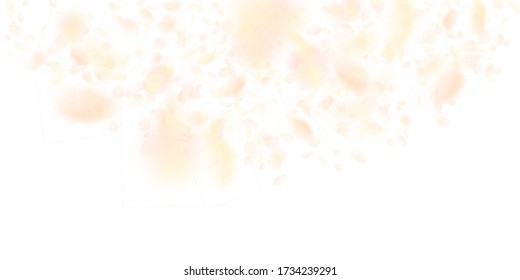 Yellow orange flower petals falling down. Fair romantic flowers semicircle. Flying petal on white wide background. Love, romance concept. Dramatic wedding invitation.