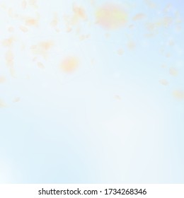 Yellow orange flower petals falling down. Mesmeric romantic flowers falling rain. Flying petal on blue sky square background. Love, romance concept. Authentic wedding invitation.