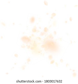 Yellow orange flower petals falling down. Powerful romantic flowers explosion. Flying petal on white square background. Love, romance concept. Astonishing wedding invitation.